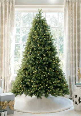 12' Royal Fir Artificial Christmas Tree with 2000 Warm White & Multi-Color LED Lights