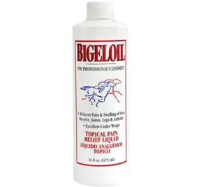 BIGELOIL PROFESSIONAL LINIMENT - 16oz