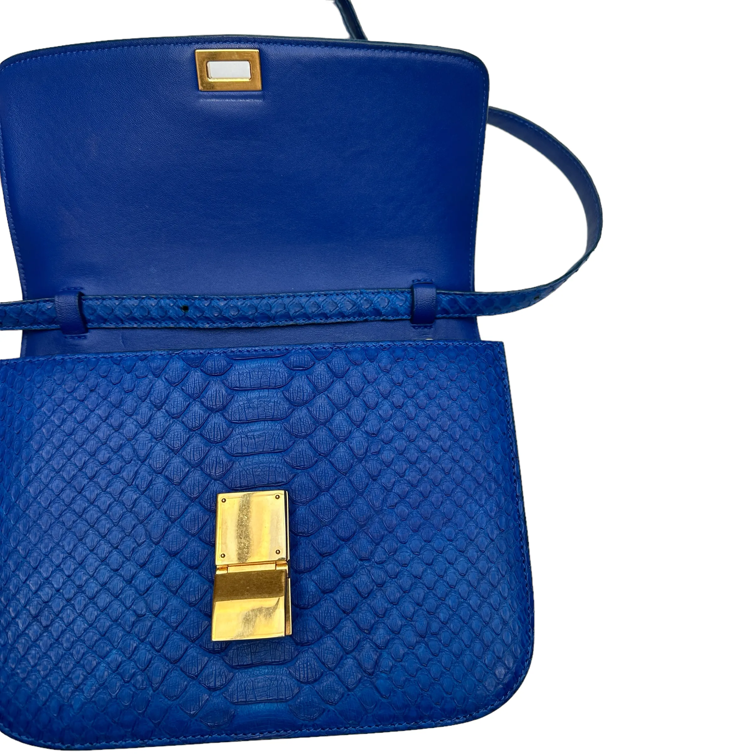 Blue Python Leather Box Bag