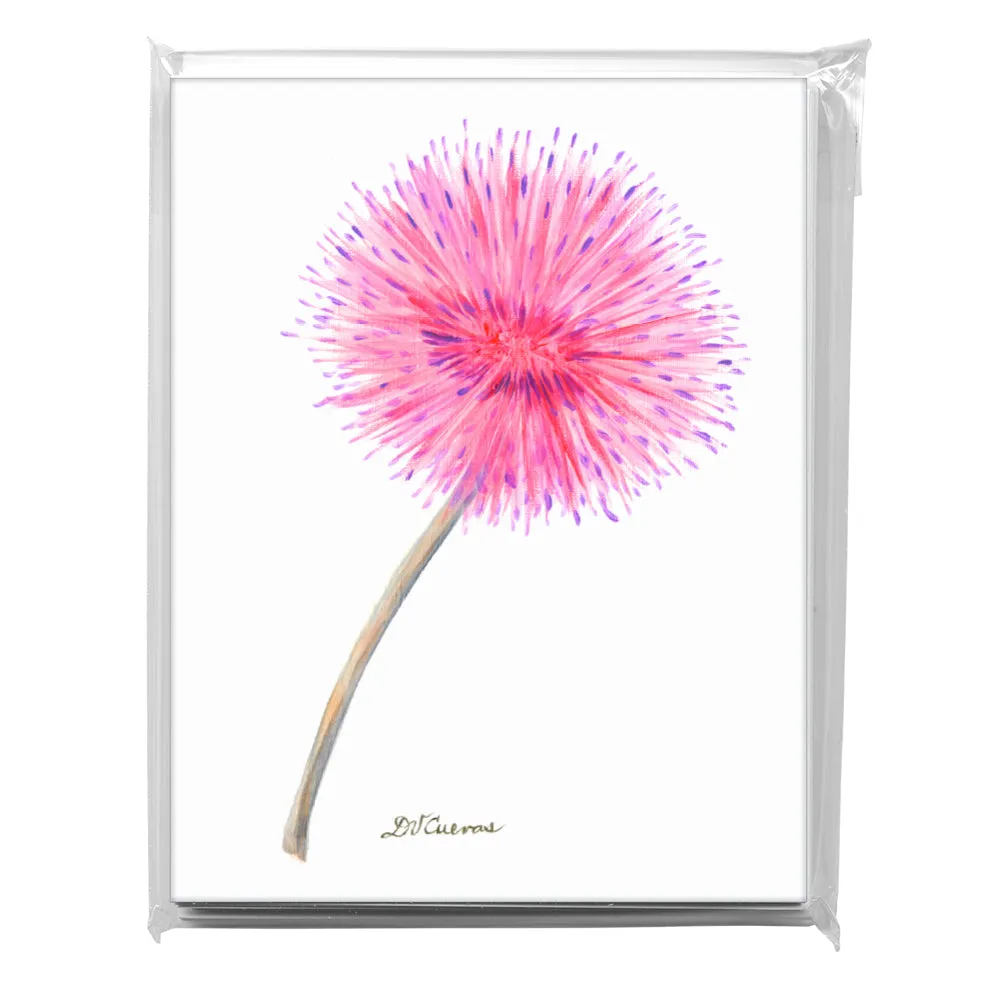 Calliandra, Greeting Card (7815)