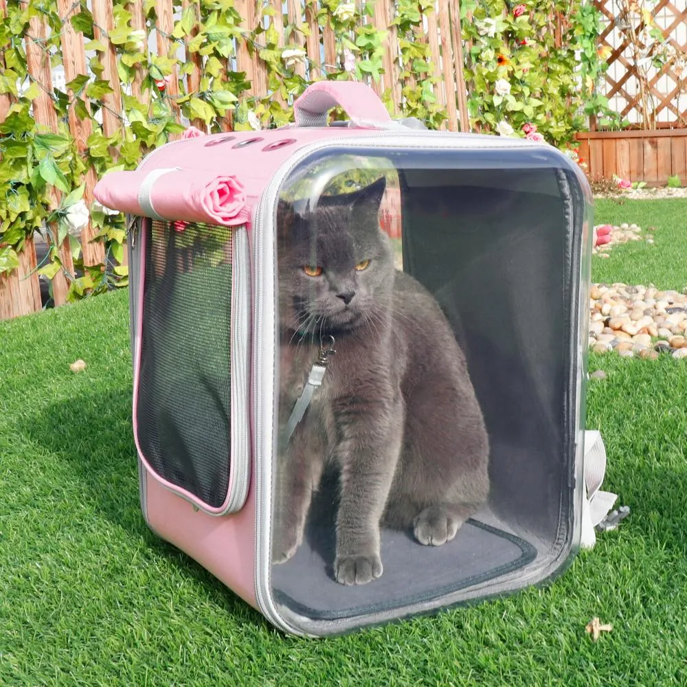 Cat Lookout Backpack w/ Windows