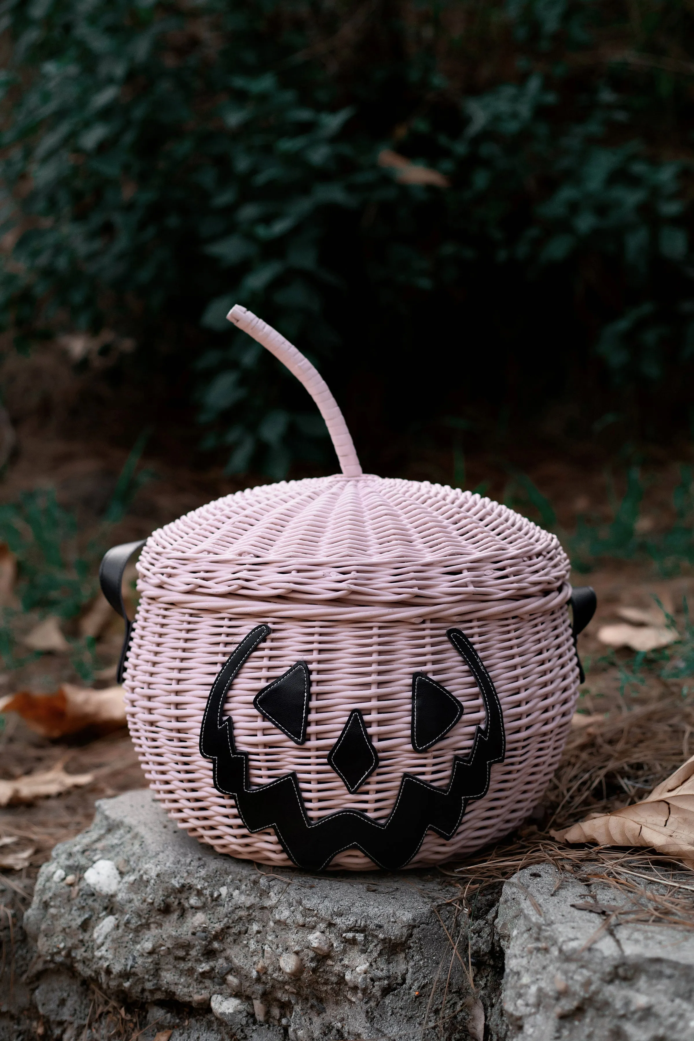 Haunted Hallows Picnic Basket (Pink) [Limited Edition]