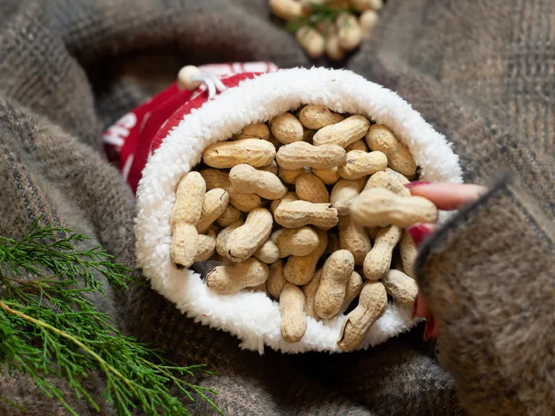 Merry Christmas Salted in the Shell Peanuts, 1.25 lb