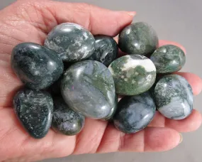 Moss Agate Polished Stones (Medium) 3pcs J261