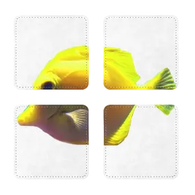 Yellow Fish Sublimation Coasters Pack of Four